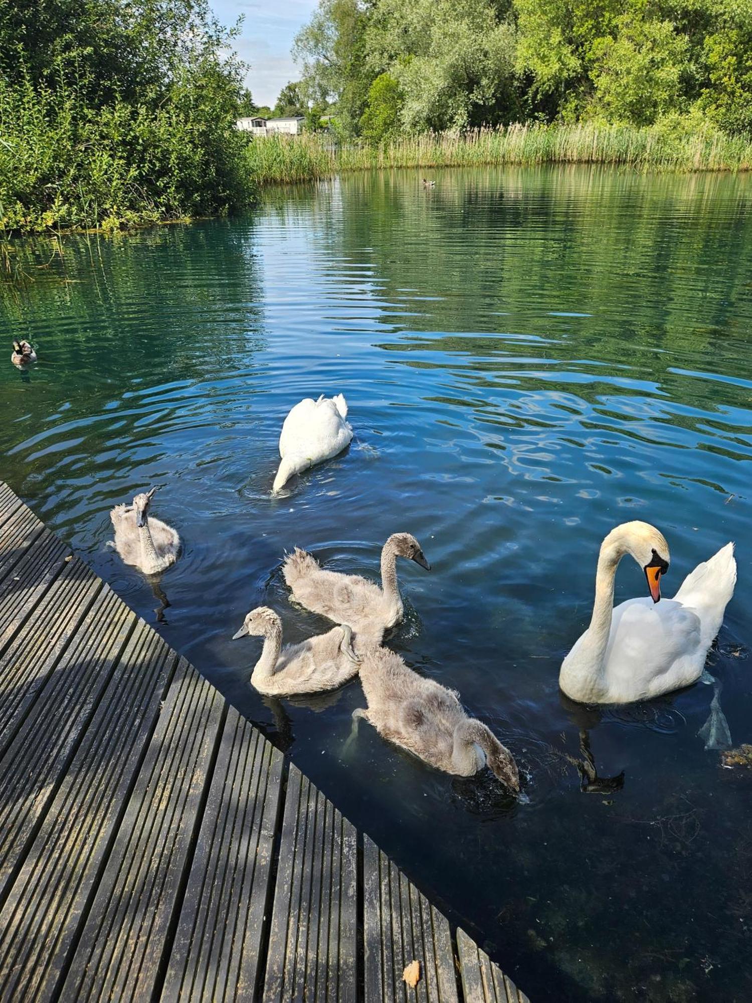 Luxury Lakeside Caravan With Hottub And Private Fishing Peg, Tattershall Lakes Екстериор снимка
